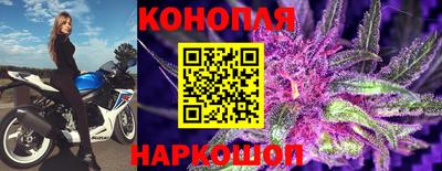стаф Можайск