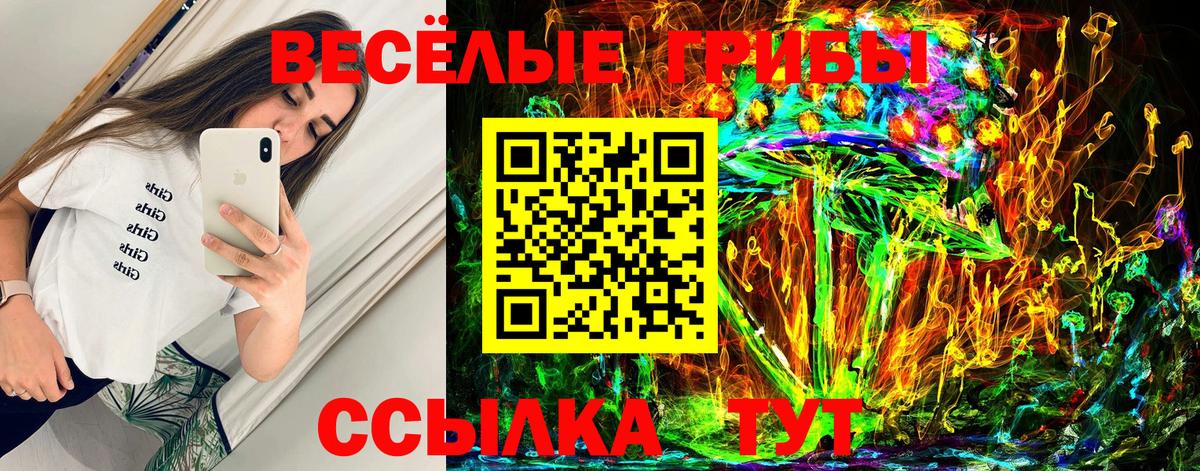 Псилоцибиновые грибы Cubensis  Вход с VPN  Будённовск  Галлюциногенные грибы Magic Shrooms 